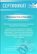 участие в вебинаре "Организация и содержание деятельности вариативных форм ДО", 2018 год участие в вебинаре "Организация и содержание деятельности вариативных форм ДО", 2018 год